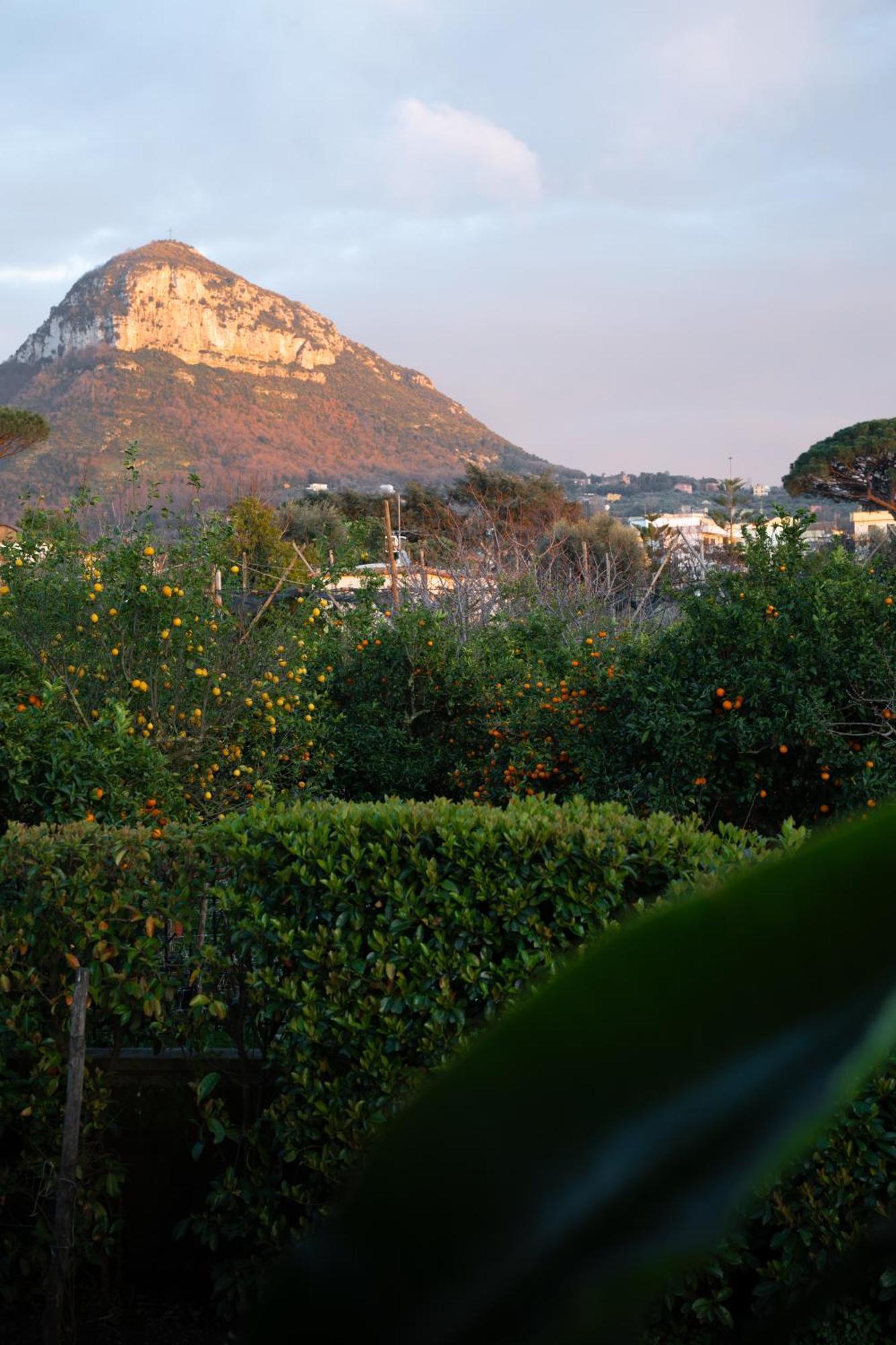 الشقق الفندقية بيانو دي سورينتوفي  1912 Relais - Sorrento Coast المظهر الخارجي الصورة